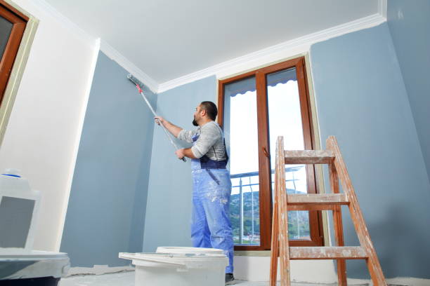 Best Attic Mold Removal  in Lake City, FL