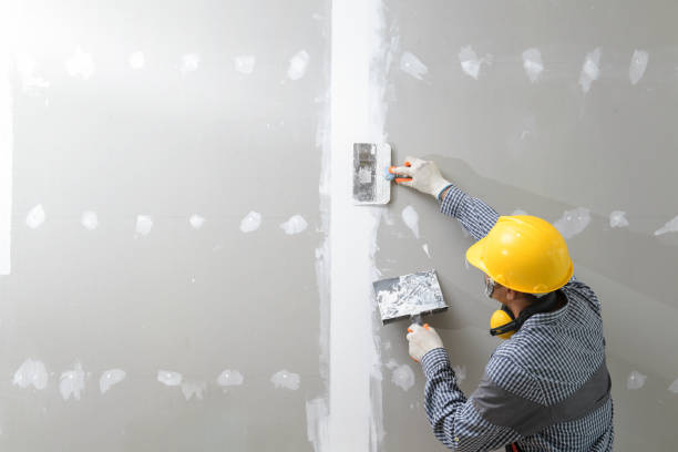 Best Dehumidification Services  in Lake City, FL