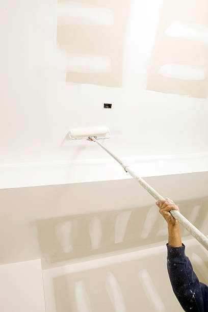 Best Black Mold Removal  in Lake City, FL