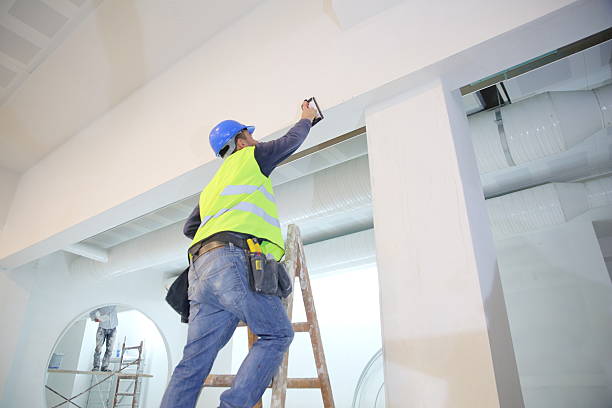 Best Emergency Mold Remediation  in Lake City, FL
