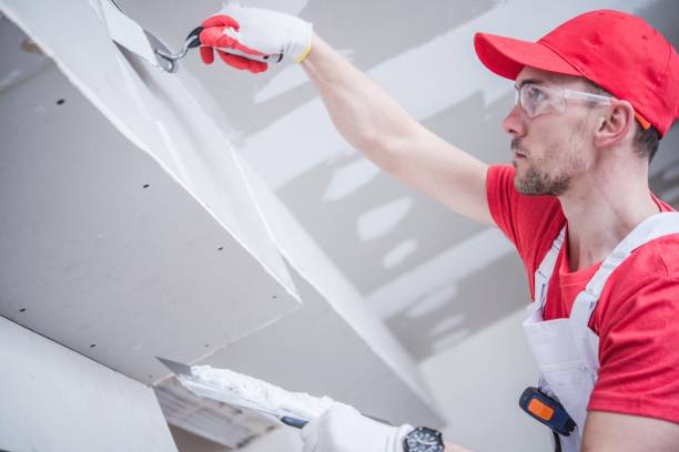 Best HVAC Mold Inspection and Cleaning  in Lake City, FL